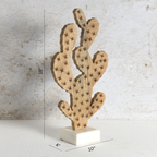 Zion Cactus Decor