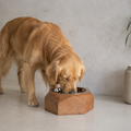 Coco Pet feeder