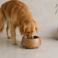 Buddy Pet Feeder