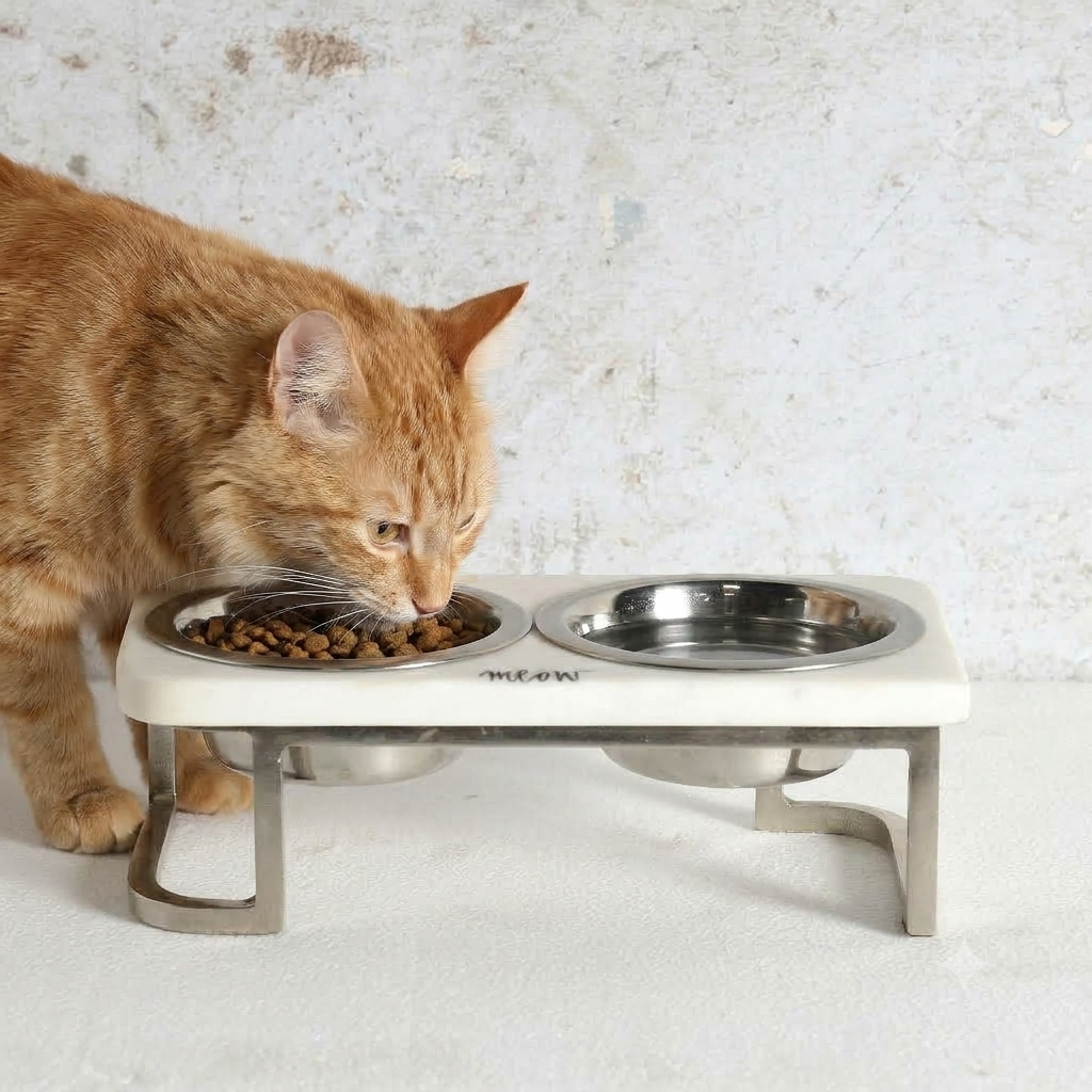 Scout Pet Feeder