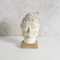 Mango wood and POP buddha head statue