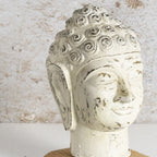 Timberline Buddha Statue